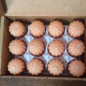 Home Interiors Rose‎ Petal Scented Candles 12 Votives Discontinued 11075 NOS